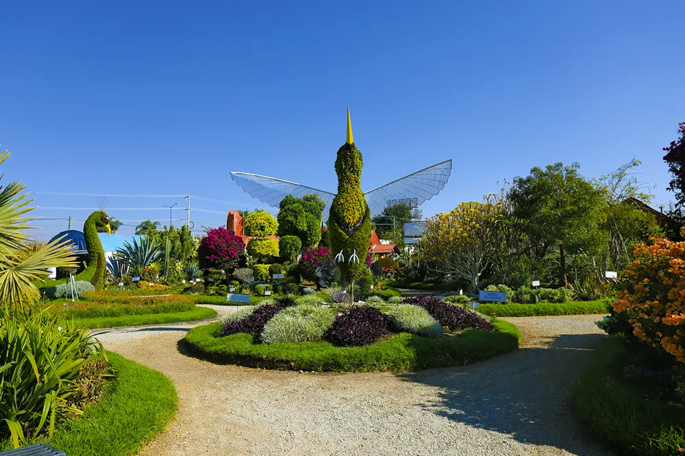 Jardín Mágico Atlixco - en Atlixco